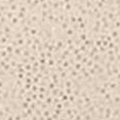 Musselin beige Glitzer