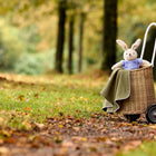 Ein ausgestopfter Hase in einem blauen Pullover sitzt in einem Korbwagen mit der KraftKids Babydecke Doppelkrepp Grün Herbstgrün, entlang eines grasbewachsenen Weges, der von Bäumen mit Herbstlaub gesäumt ist.