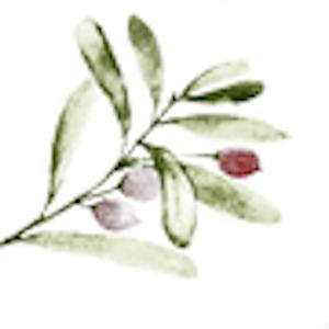 Der Stoff Musselin Zweige grün rot auf Weiß BLU SSS115 von KraftKids zeigt ein Aquarelldesign aus grünen Zweigen mit zwei hellvioletten und einer roten Beere, das zeitlose Eleganz auf einem strahlend weißen Hintergrund zeigt.